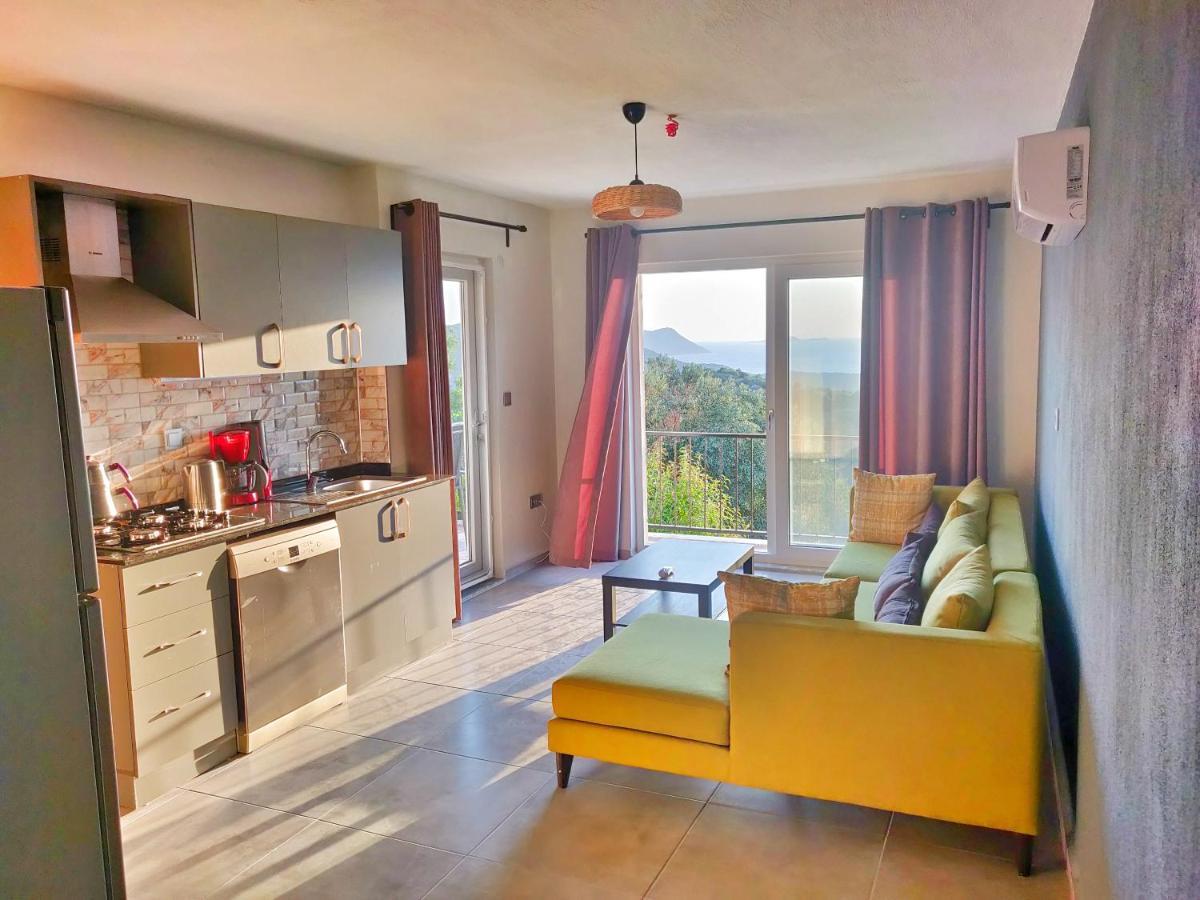 Olivia Homes קס מראה חיצוני תמונה