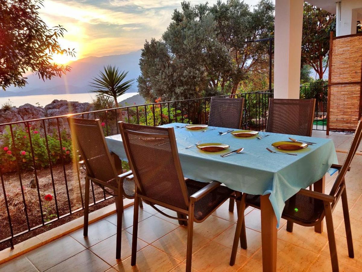 Olivia Homes קס מראה חיצוני תמונה