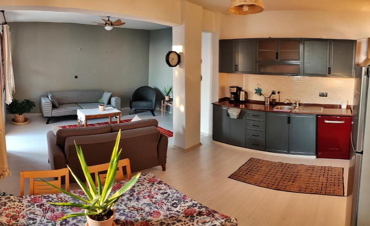 Olivia Homes קס מראה חיצוני תמונה
