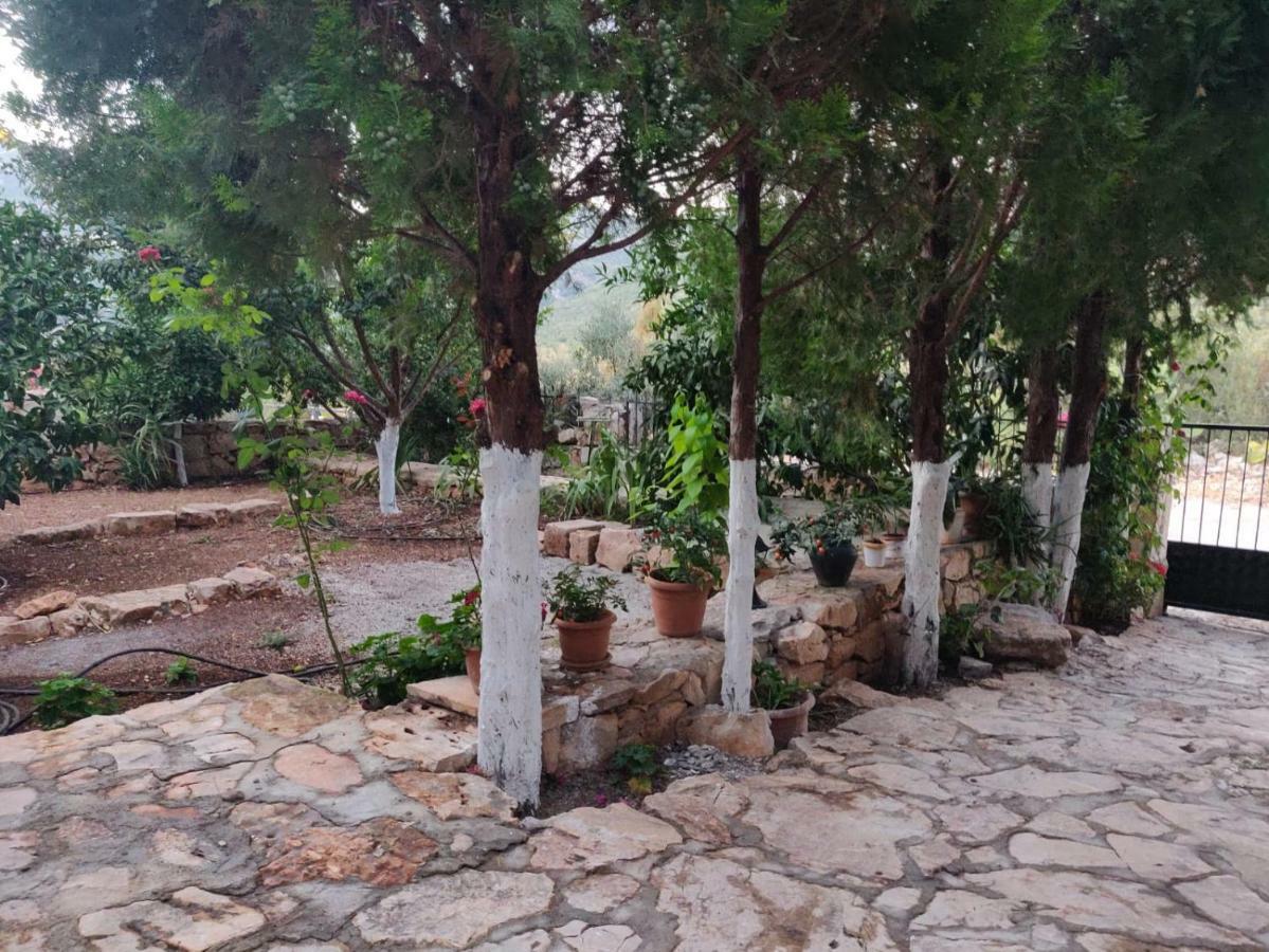Olivia Homes קס מראה חיצוני תמונה